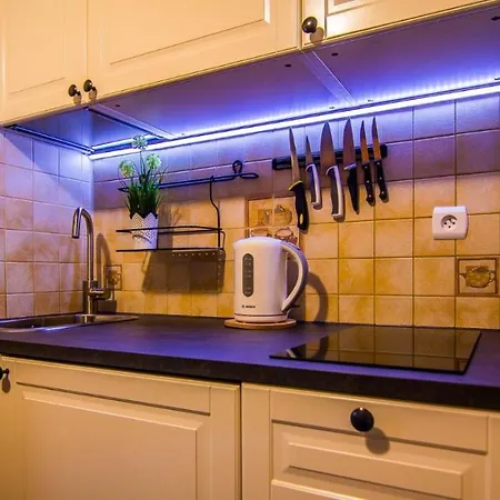 U Bieganskich Centrum Guest house